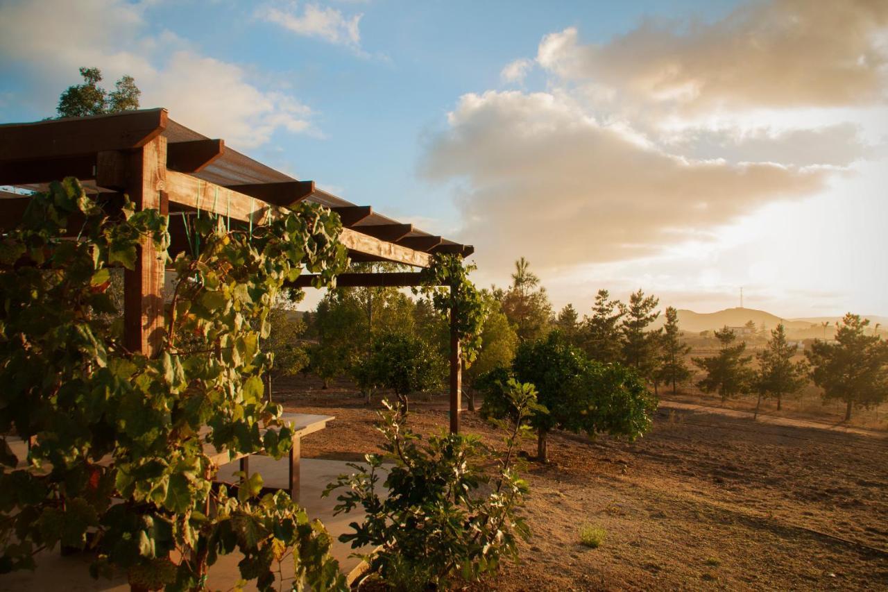 Casa Mayoral Bed and Breakfast Valle de Guadalupe Exterior foto