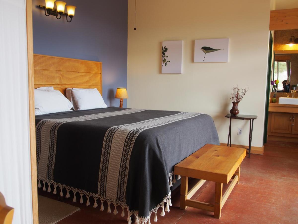 Casa Mayoral Bed and Breakfast Valle de Guadalupe Exterior foto