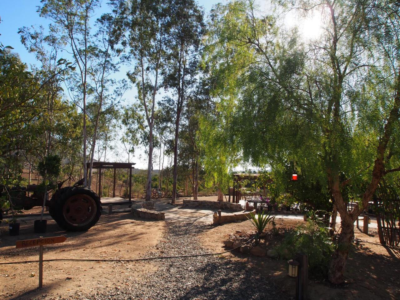 Casa Mayoral Valle de Guadalupe Exterior foto